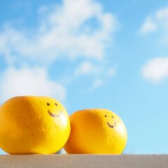 充実感のある日常～この1年を振り返って