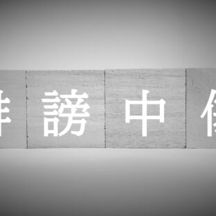 初めてアンチコメントが来たら…