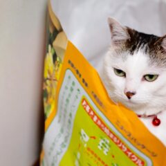 コンサルって怪しいよね、騙されてるんじゃない！？と言われたあなたへ