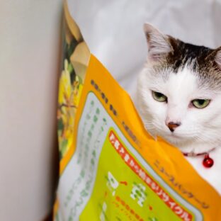 コンサルって怪しいよね、騙されてるんじゃない!?と言われたあなたへ